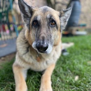 Meet your Posher, Rebecca